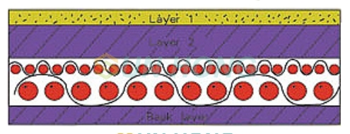 double layer press felt